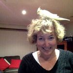 Adele McCarthy-Holt - @adele_mccarthyholt - Instagram