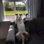 Adele Moore - @adele.moore.543 - Instagram