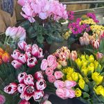 adele - @adelemurphyhall - Instagram