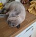 Adele Murphy - Facebook