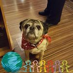Adele Murray - @adele.murray.946 - Instagram