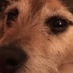 Adele Murray - @adelemurray.52 - Instagram