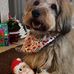 Adele Nicol - Facebook