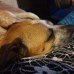 Adele Pooley - @adelepooley - Instagram