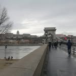 Adele_rubino - @adele_ru7 - Instagram