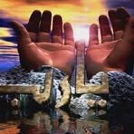 Adel El Shaer - Facebook