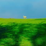 Adele - @adele__simpson - Instagram