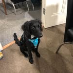 Karen Adele Southern - @karenarcher2009 - Instagram