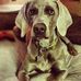 Marley Adele Talbot - Facebook