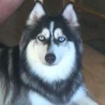 Adele J. Weaver - @adelej.weaver - Instagram