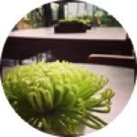 Adeline Chow - @ac_wl - Instagram
