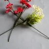 adelinechua10102011 - @adelinechua2 - TikTok