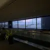 adelinejames42 - @adelinejames42 - TikTok