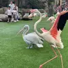 Adeline See - @adeline.see3 - TikTok