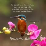 Adela Ruiz Ariaz - @adelaruizaria - Instagram