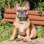 Adele Roberts - @adele.roberts.399 - Instagram