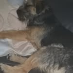 Adele Roberts - @adele.roberts.12979 - Instagram