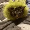 Adelleroberts - @adelle.roberts1 - TikTok