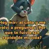 Adelso Lemus - @adelsolemus - TikTok