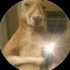 adelso morales - @adelso.morales3 - TikTok