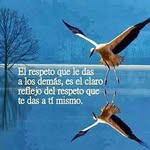 wilmer Adelso Suarez Quintero - @wilmeradelsosuarez - Instagram