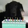 Adelson Luna - @adelson.luna53 - TikTok