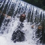 Adelson monteiro 587 - @adelsonmonteiro587 - Instagram