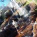 Adelson Moreira - Facebook