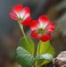 Adely Diaz - Facebook