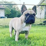 Owners: Lisa & Adely Muniz - @kinglouie_0924 - Instagram