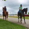 Adelynn carter - @adelynncarter - TikTok
