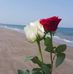 Adilene Sanchez - Facebook