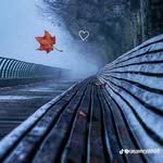Adem Abdaziz - @adem_abdulazi - Instagram