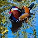 Adem Bilali - @adem.bilali.98 - Instagram