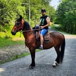 Adem Imeri - @adem.imeri.83 - Instagram
