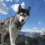 Adem Kovačević - @kovacevic1324 - Instagram