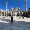 adem_lee - @adem_lee - TikTok