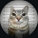 adem sakly - @ademsakly - Instagram