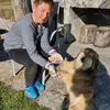 @adem_sinanović - @minikonj - TikTok