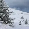 Adem yucel - @adem__yucel - TikTok