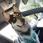 Aden Johnson - @aden_johnson__ - Instagram