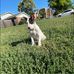 Aiden Lynch - Facebook