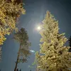Aden Moore - @aden.moore1 - TikTok