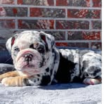 Aden Murp - Facebook