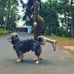 Aden Nelson Amos - Facebook