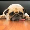 adentaylor934 - @adentaylor934 - TikTok