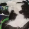 Aden Thomasov - @aden.thomasov - TikTok