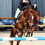 aden et madeleine 🐴❤ - @aden_st_vincent - Instagram