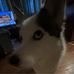 Ayden White - Facebook