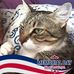 Adena Sealock - Facebook